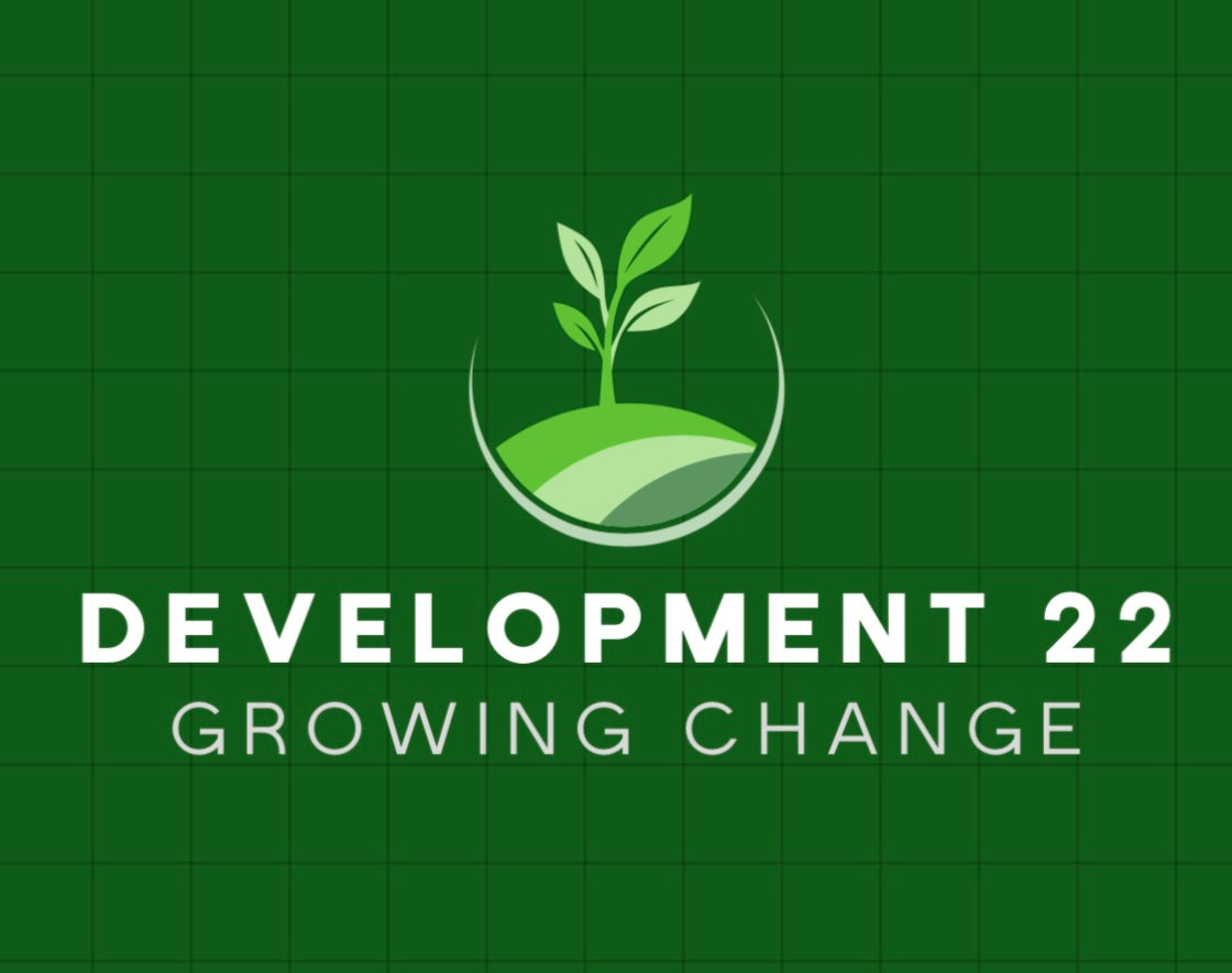 The Development Level